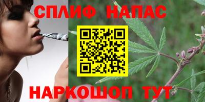 гашик Прокопьевск